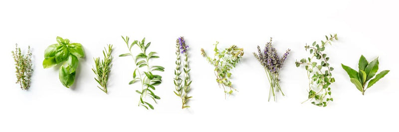 What Is Herbs de Provence?