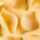 Conchiglioni Pasta, 100% Italian Wheat by Bragagnolo, 17.6 oz (500 g)