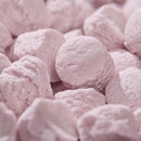 Leone Italian Pastilles, Cinnamon, 0.95 oz (27 g)