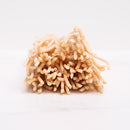 Italian Organic Ancient Grain Bucatini by Bona Furtuna, 1.1 lb (500 g)